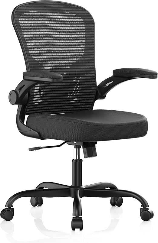 Office Chair, Ergonomic Desk Chairs