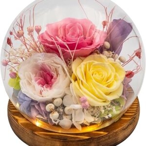 Eternal Flowers for Decoration