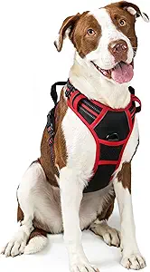 Dog Harness No Pull with 2 Leash Clips