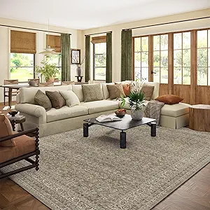 Washable Area Rugs for Living Room: